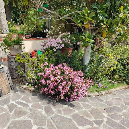 Il Diacciarello Apartman Gabbro Kültér fotó