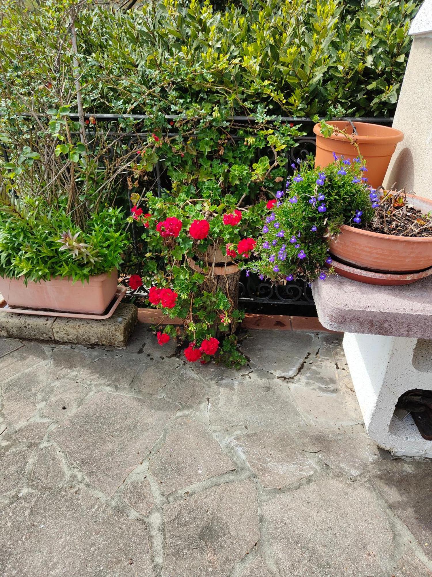 Il Diacciarello Apartman Gabbro Kültér fotó